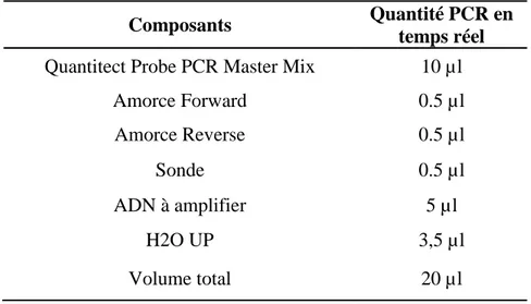 Tableau 10: Composition du mélange réactionnel pour la PCR en temps réel 