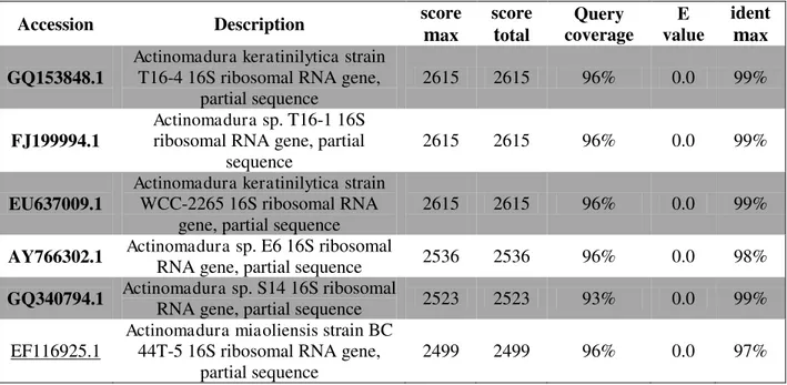 Figure 19 :  Séquence nucléotidique du gène d’ARNr 16S (1501 pb) de la souche Cpt29 