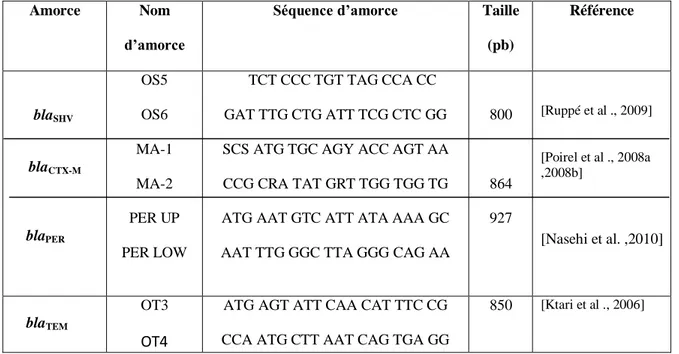 Tableau N° 11: Caractéristiques    des  amorces   utilisées   pour  la  recherche   par   PCR   des  gènes  de résistance aux β-lactamines 