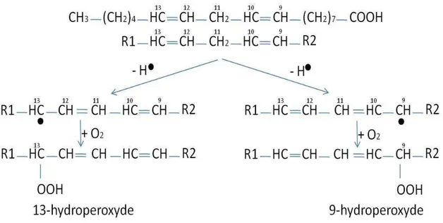 Figure 2 : Auto-oxydation de l’acide linoléique (Veillet S., 2010) 