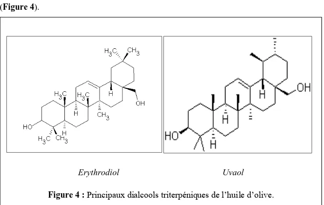 Figure 4 : Principaux dialcools triterpéniques de l’huile d’olive. 