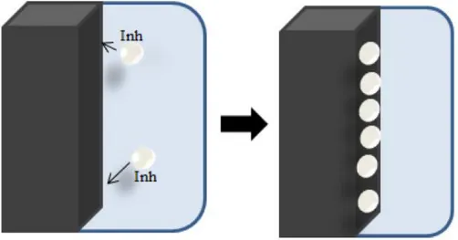 Figure I.10.   Le mécanisme d’action d’un inhibiteur organique agissant par                        adsorption des molécules inhibitrices sur la surface du métal