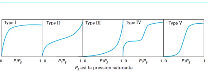 Figure I.5. Classifications des isothermes d’adsorption observées pour les systèmes 