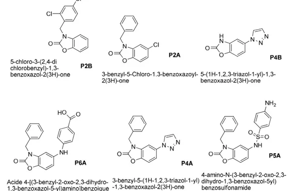 Figure 1.14:Dérivés de 5-chloro-2-benzoxazolinone substitués par des noyaux de type sulfonamide, et  halogénobenzyle et azole
