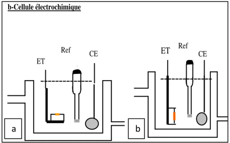 Figure II. 4 Schéma de cellule électrochimique avec l’électrode de travail dirigée 