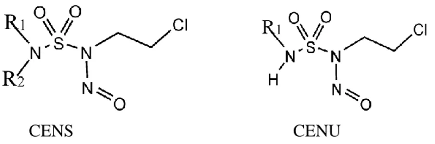 Figure I.6 : structure des molécules CENS et CENU 