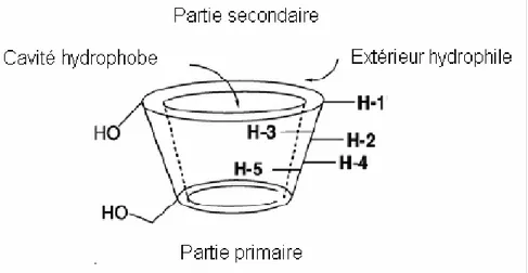 Figure I.2 : Structure tridimensionnelle montrant la forme en cône  de l’α, la β et la γ -cyclodextrine.