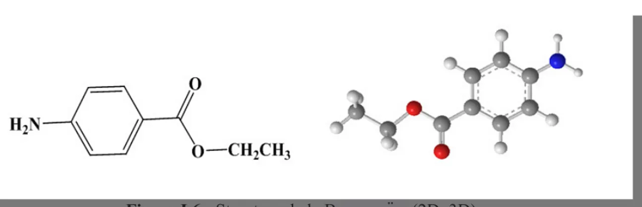 Figure I.6 : Structure de la Benzocaïne (2D, 3D).