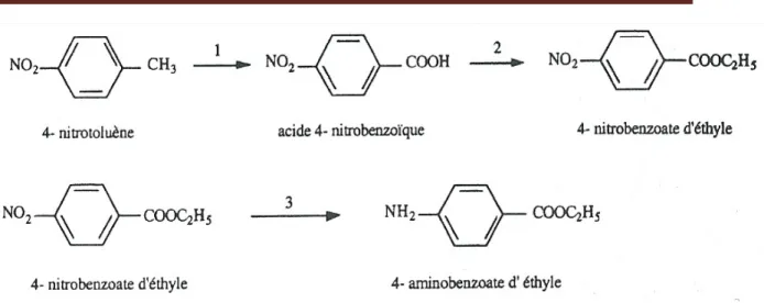 Figure I.7 : Mécanisme réactionnel de synthèse de la Benzocaine.