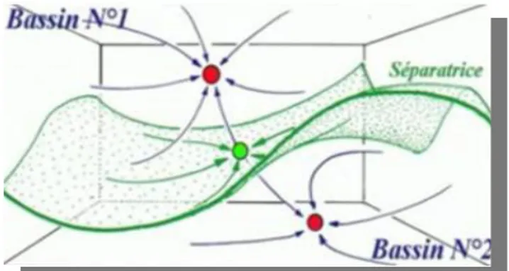 Figure II.2 : Exemple de deux bassins séparés par une séparatrice.