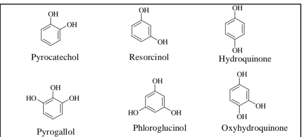 Figure 7. Structures de quelques phénols simples 