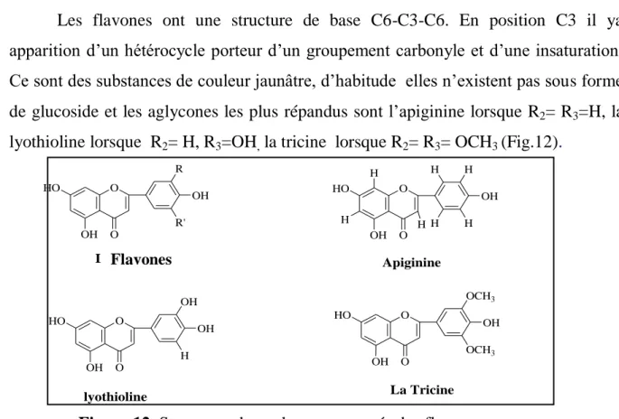 Figure 12. Structures de quelques composés des flavones.    Flavonols  