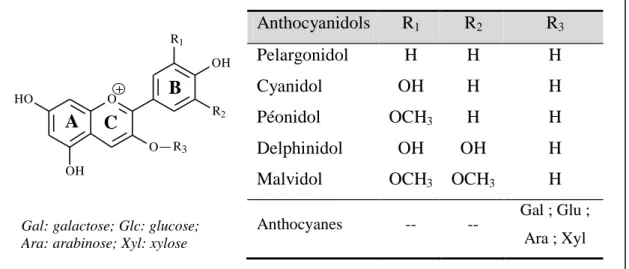 Figure 15. Structures des anthocyanidols et anthocyanes. 