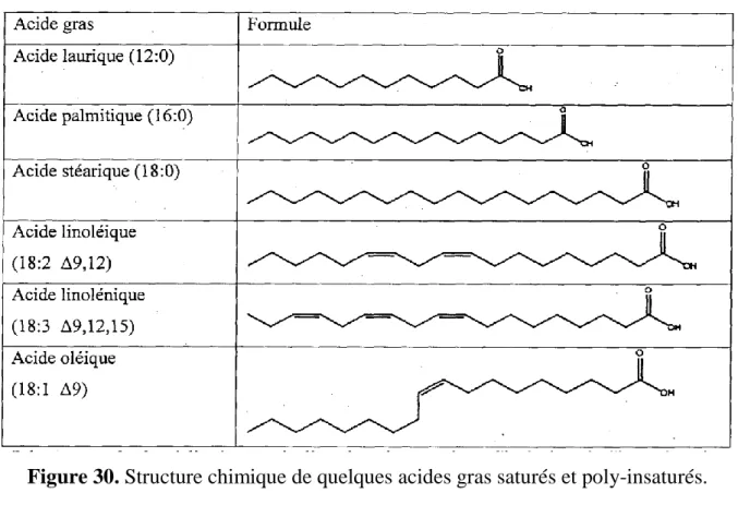 Figure 30. Structure chimique de quelques acides gras saturés et poly-insaturés.  La première série a pour formule générale semi-développée : 
