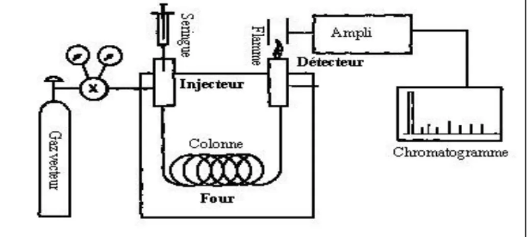 Figure 33 . Schéma simplifié du chromatographe en phase gazeuse