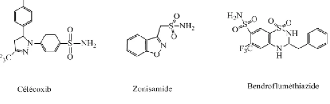Figure 3 : Structure de composés pharmaceutiques contenant le motif sulfonamide.  I.1.1