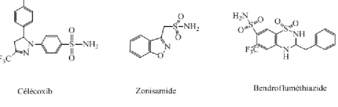 Figure 3 : Structure de composés pharmaceutiques contenant le motif sulfonamide.  I.1.1