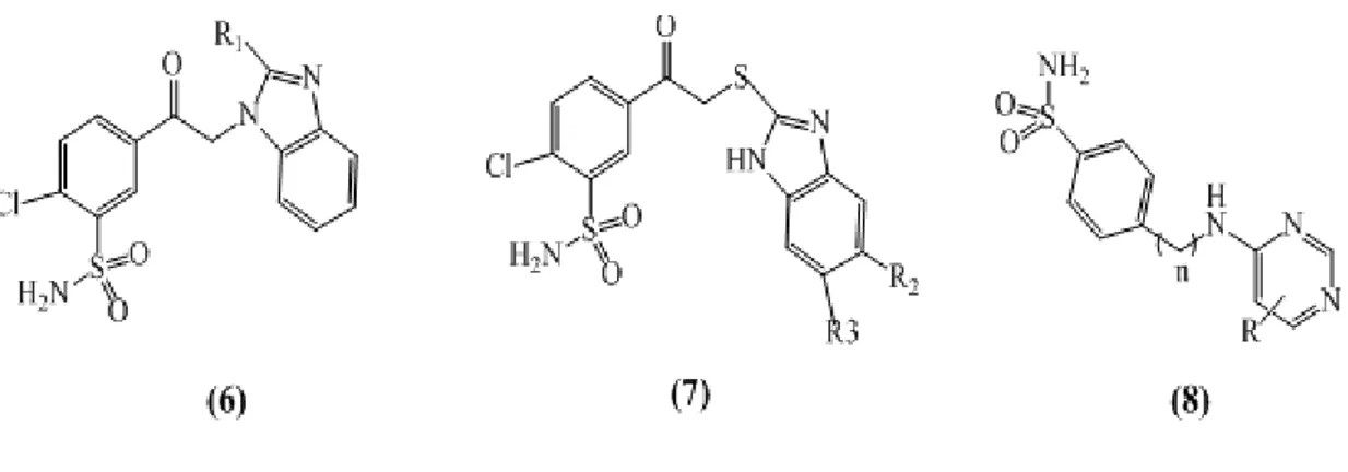 Figure 7 : Analogues de [(2-pyrimidinylthio)acetyl]benzenesulfonamides