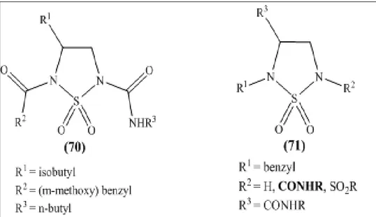 Figure 14: Sulfamides acylés: inhibiteurs d'enzymes. 