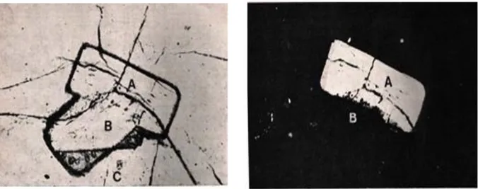 Figure I.9: Morphologie des cristaux de mélilite dans une particule vitreuse du laitier granulé  (Aïtcin, 1968) 