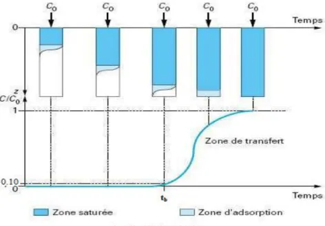 Figure I.11 : Courbe de percée typique 