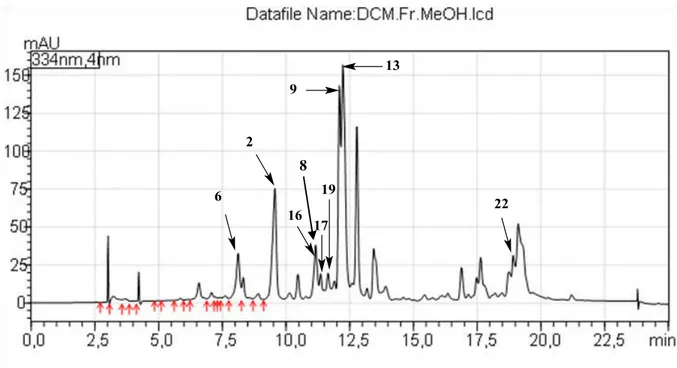 Figure 43 : Profil chromatographique (LCMS) de l ’extrait méthanolique des fleurs de  Daucus carota 