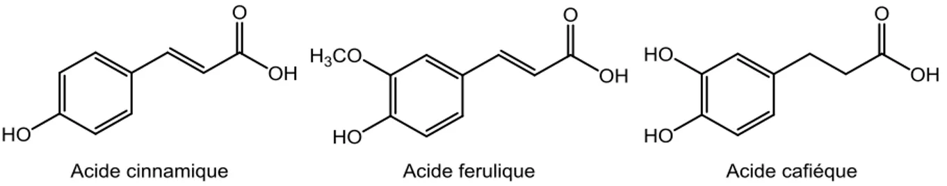 Figure 16 : Exemple de quelques acides phénoliques de la série cinnamique. 