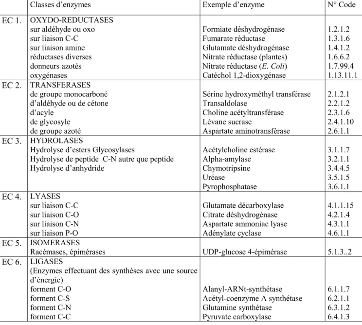 Tableau 1: Classification des enzymes 