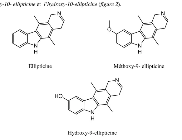 Figure 2 : Exemples d’alcaloïdes dérivés de l’ellipticine 