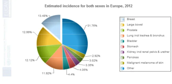 Figure 7 : Estimation de l’incidence des cancers les plus fréquents en 2012 en Europe par l’OEC 