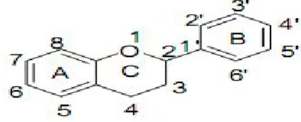 Figure 8: Mécanismes traduisant l'activité antioxydante des caroténoïdes, cas des ROO • 