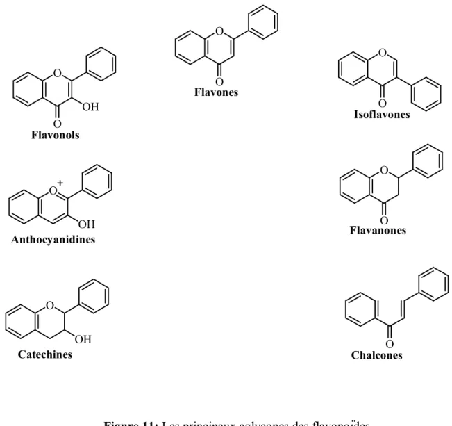 Figure 11: Les principaux aglycones des flavonoïdes. 