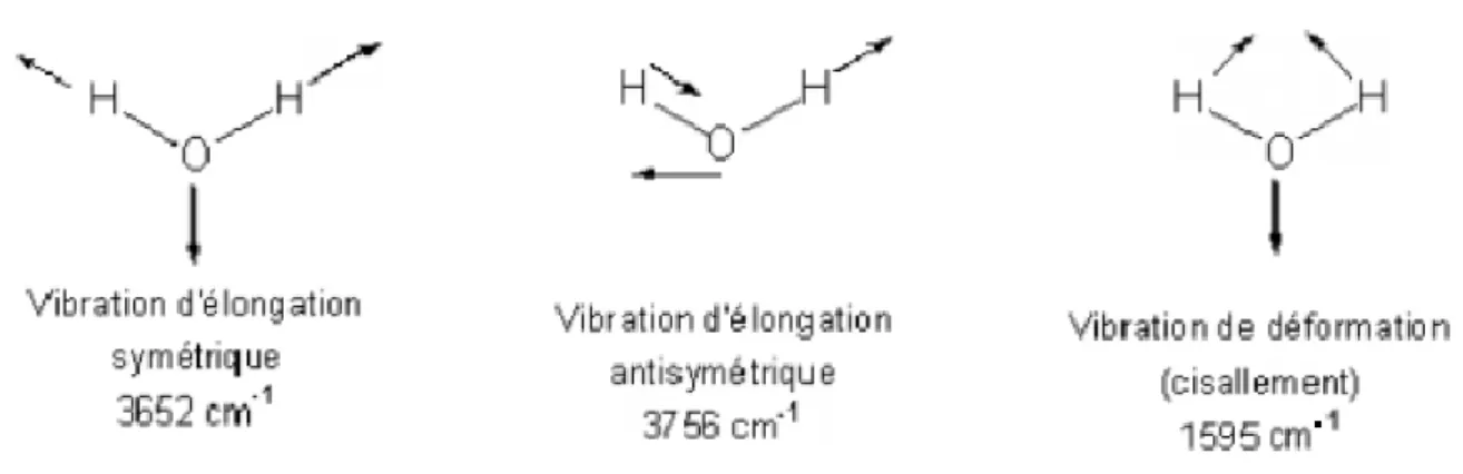 Figure I. 5: Les modes propres de vibration de la molécule d'eau. 