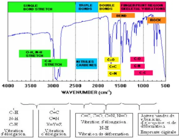 Figure I. 7: Les différentes zones du spectre infrarouge.  ♣ Les vibrations d’élongation des liaisons O-H et N-H 