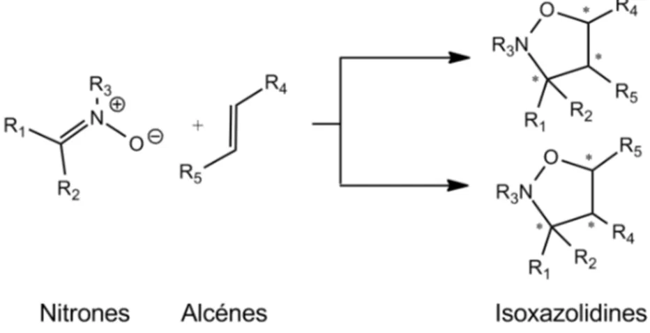 Figure 3  Réaction de cycloaddition 1,3-dipolaire (1,3-DC) des nitrones avec des alcénes
