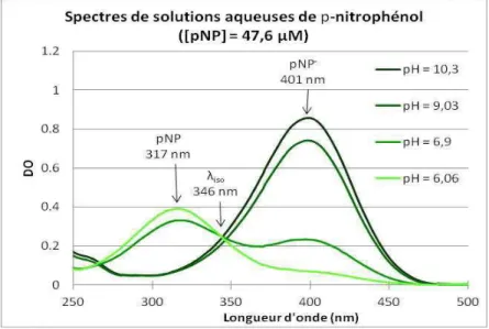 Figure  I.1  ̶  Différentes   courbes d’absorption  du paranitrophénol en fonction  du pH