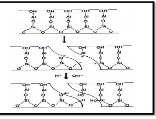 Figure  II. 5 ̶  Mécanisme  de la formation  de la charge de surface pour la kaolinite en suspension  dans l’eau
