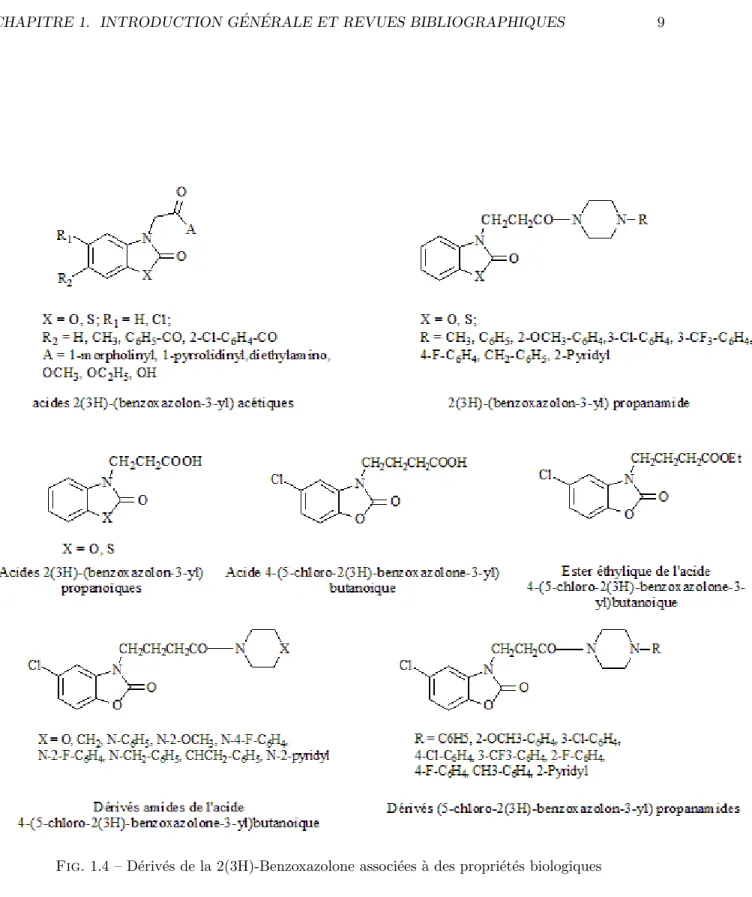 Fig. 1.4 – D´ eriv´ es de la 2(3H)-Benzoxazolone associ´ ees ` a des propri´ et´ es biologiques