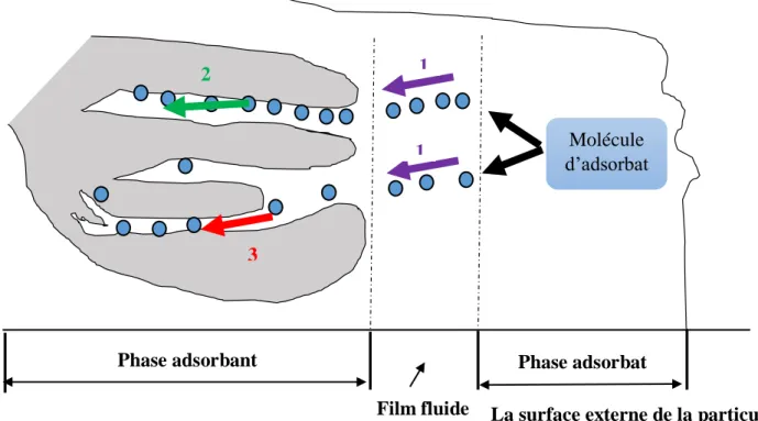 Figure II.1. Mécanisme du transport d’un adsorbat au sein d’un grain solide. 1- diffusion  externe ; 2- diffusion interne (dans les pores) ; 3- migration en surface
