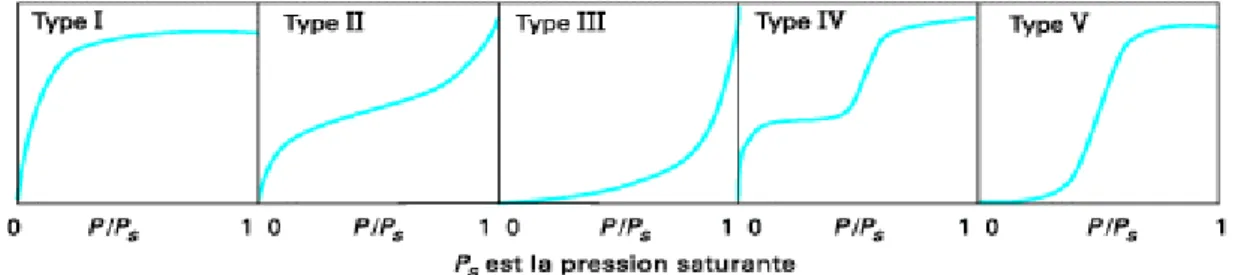 Figure II.2. Classification des isothermes d’adsorption observées pour les systèmes  d’adsorption 