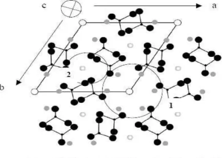Figure I.2: Projection de la structure de l’hydroxyapatite phosphocalcique sur les 