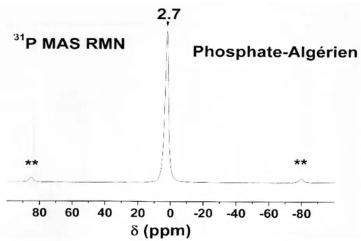 Figure II.5: Spectre de résonance magnétique nucléaire RMN-MAS du  31 P de PN 