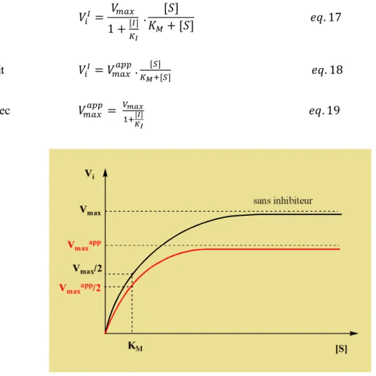 Figure  8 :  représentation  graphique  de  = ([ ])  dans  le  cas  d’inhibition  non  compétitive pure