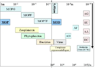 Figure  1: Taille  de  différentes fractions  de la  matière  organique  dans  les  environnements  aquatiques  selon  (Da  Cunha  2011 9 ) 