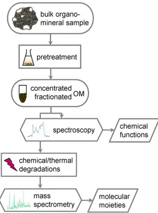 Figure 3 : Schéma typique de la caractérisation  moléculaire de la matière organique (Derenne and  Nguyen Tu 2014 37 )