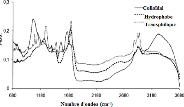 Figure 4: Spectre FT-IR pour les fractions : colloïdal, hydrophobe, et transphilique de la MOD 