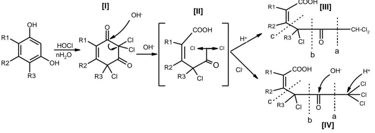 Figure 5 : Mécanisme de formation des THM Rook 1974  (Rook 1974 56 ,  Damien et al. 2009 69 ) .