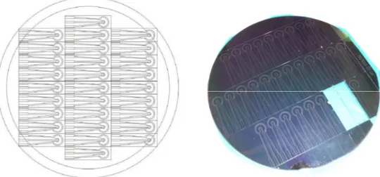 Figure III.4 :  Les trois électrodes de la micro-cellule électrochimique découpées dans le  film de BDD par laser femto-seconde