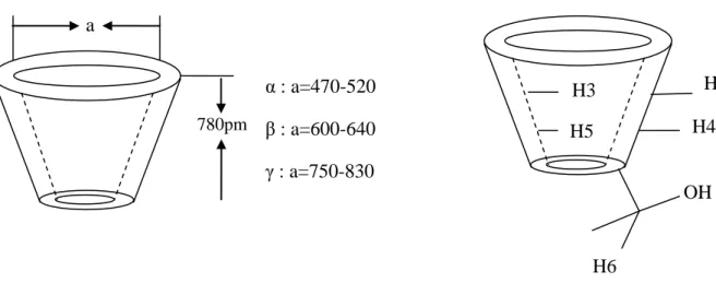 Figure 6 : Structure tridimensionnelle des α, β, γ-cyclodextrines.