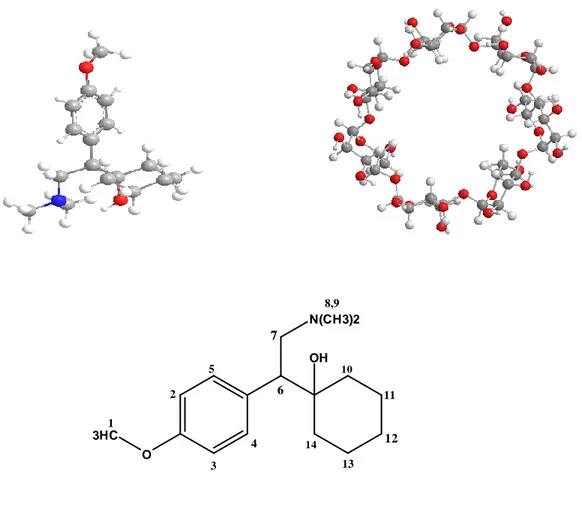 Figure 1 : Structures des Venlafaxine et β-cyclodextrine 